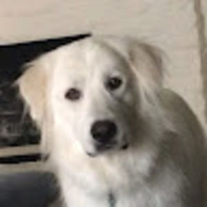 Meet your Posher, Miette